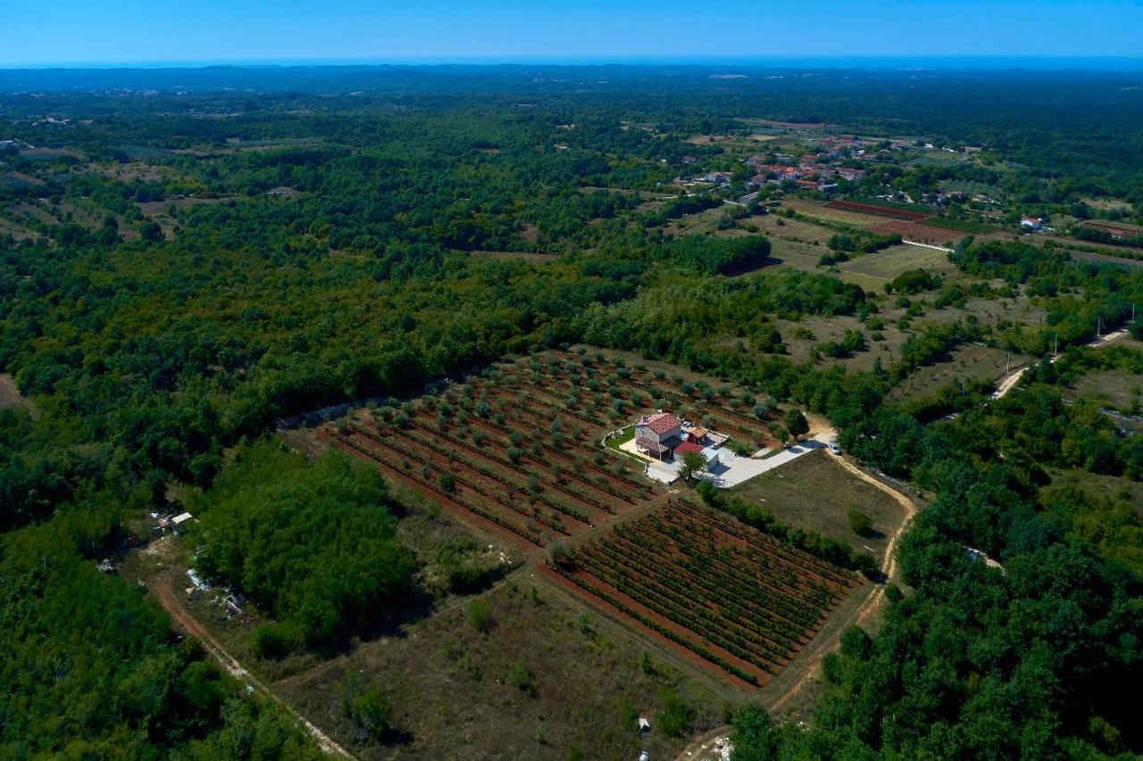 Relax House Surrounded By Olives And Vineyard *