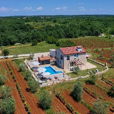Relax House Surrounded By Olives And Vineyard Villa Stifanići Kültér fotó