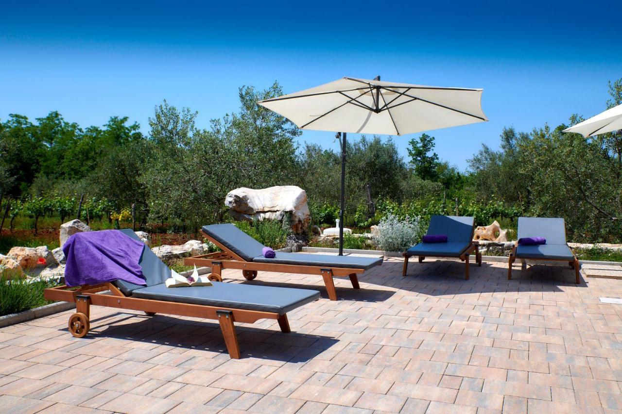 Villa Relax House Surrounded By Olives And Vineyard Stifanići