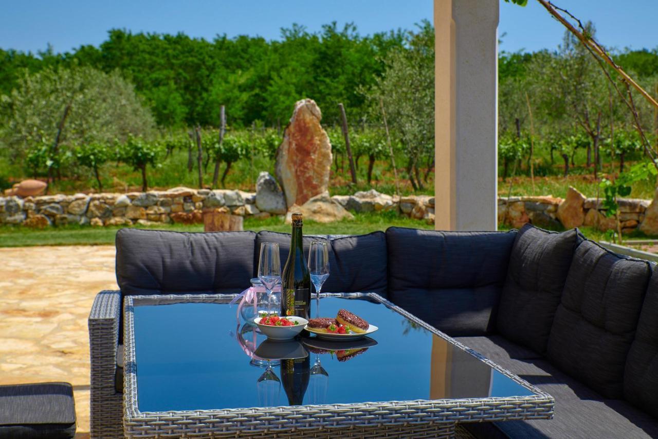Relax House Surrounded By Olives And Vineyard Villa