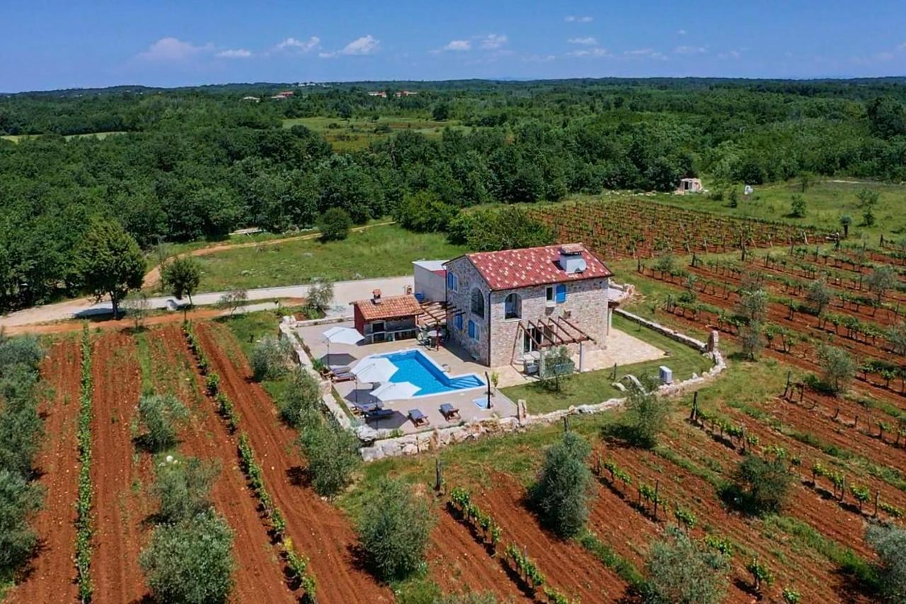 Relax House Surrounded By Olives And Vineyard Villa *