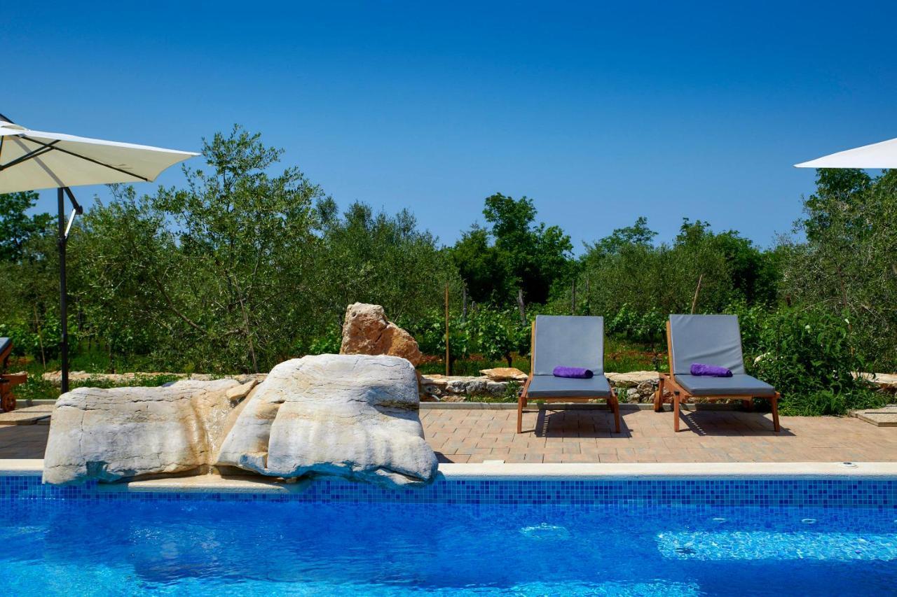 Relax House Surrounded By Olives And Vineyard Stifanići