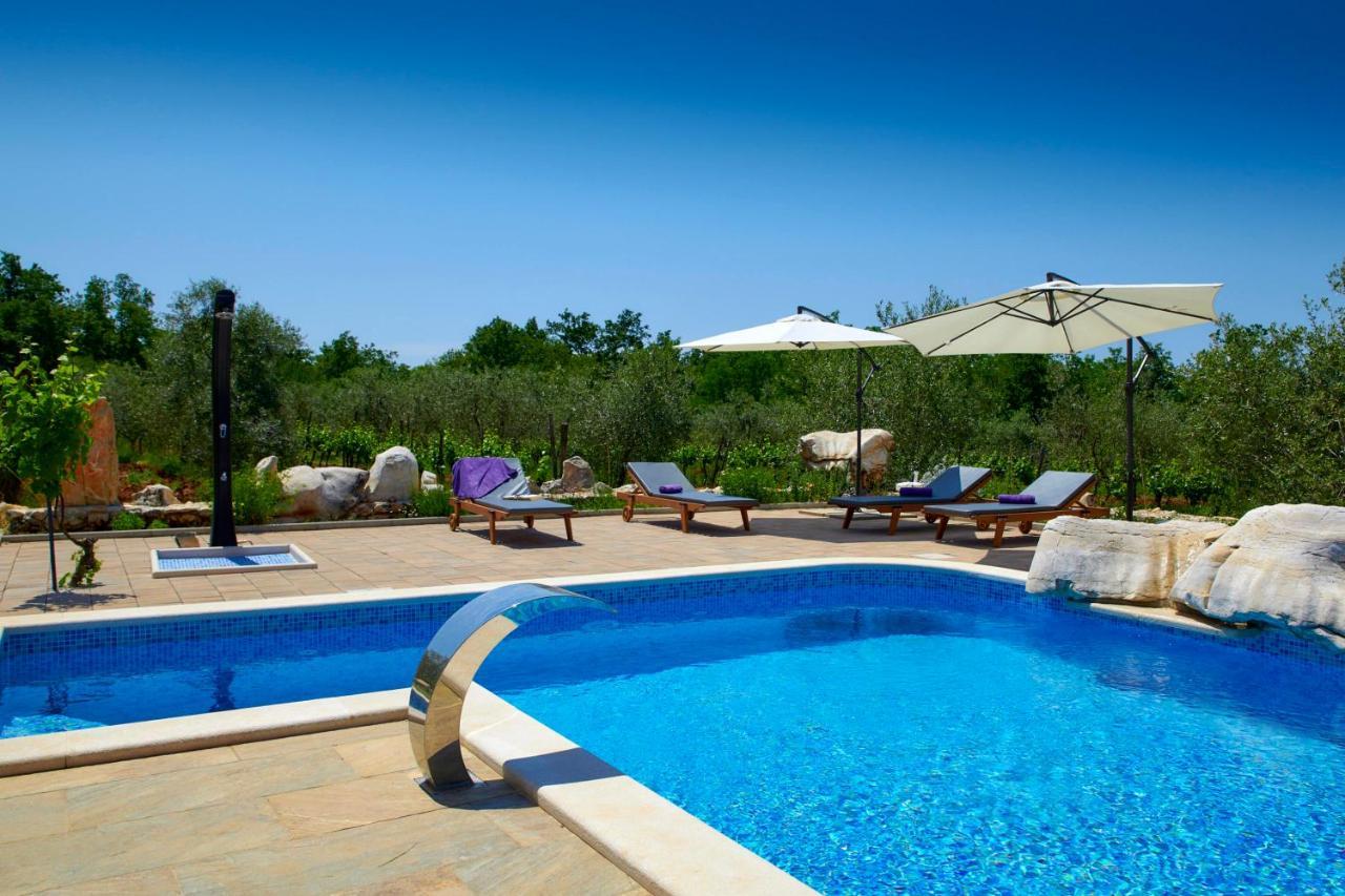 Relax House Surrounded By Olives And Vineyard Villa Stifanici