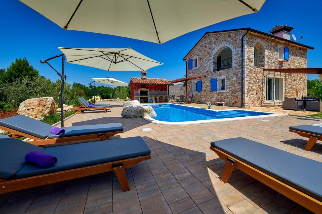 Relax House Surrounded By Olives And Vineyard