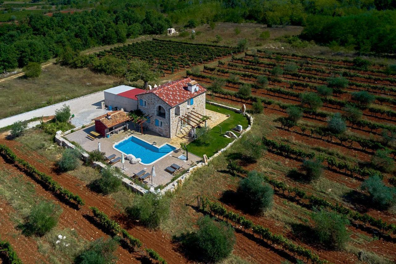 Relax House Surrounded By Olives And Vineyard *