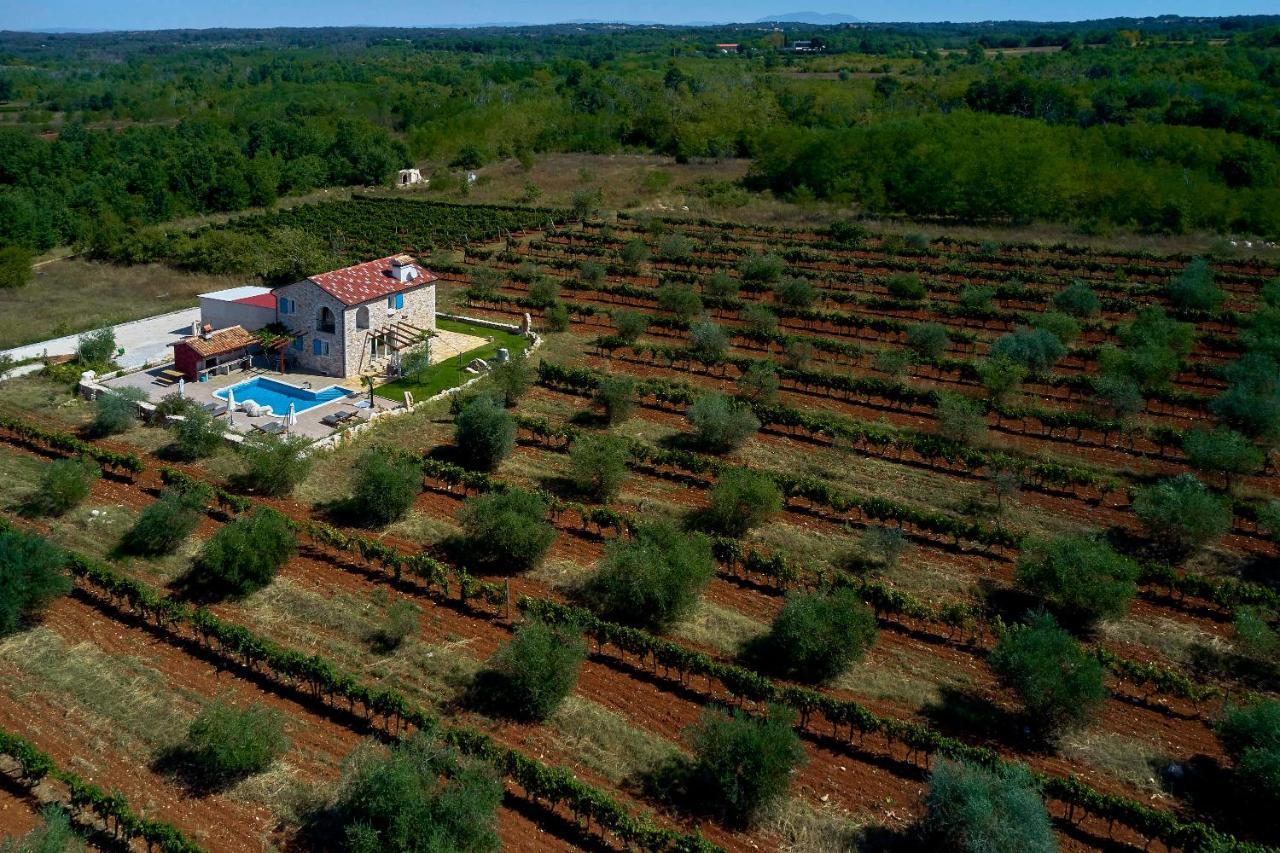 Relax House Surrounded By Olives And Vineyard Villa