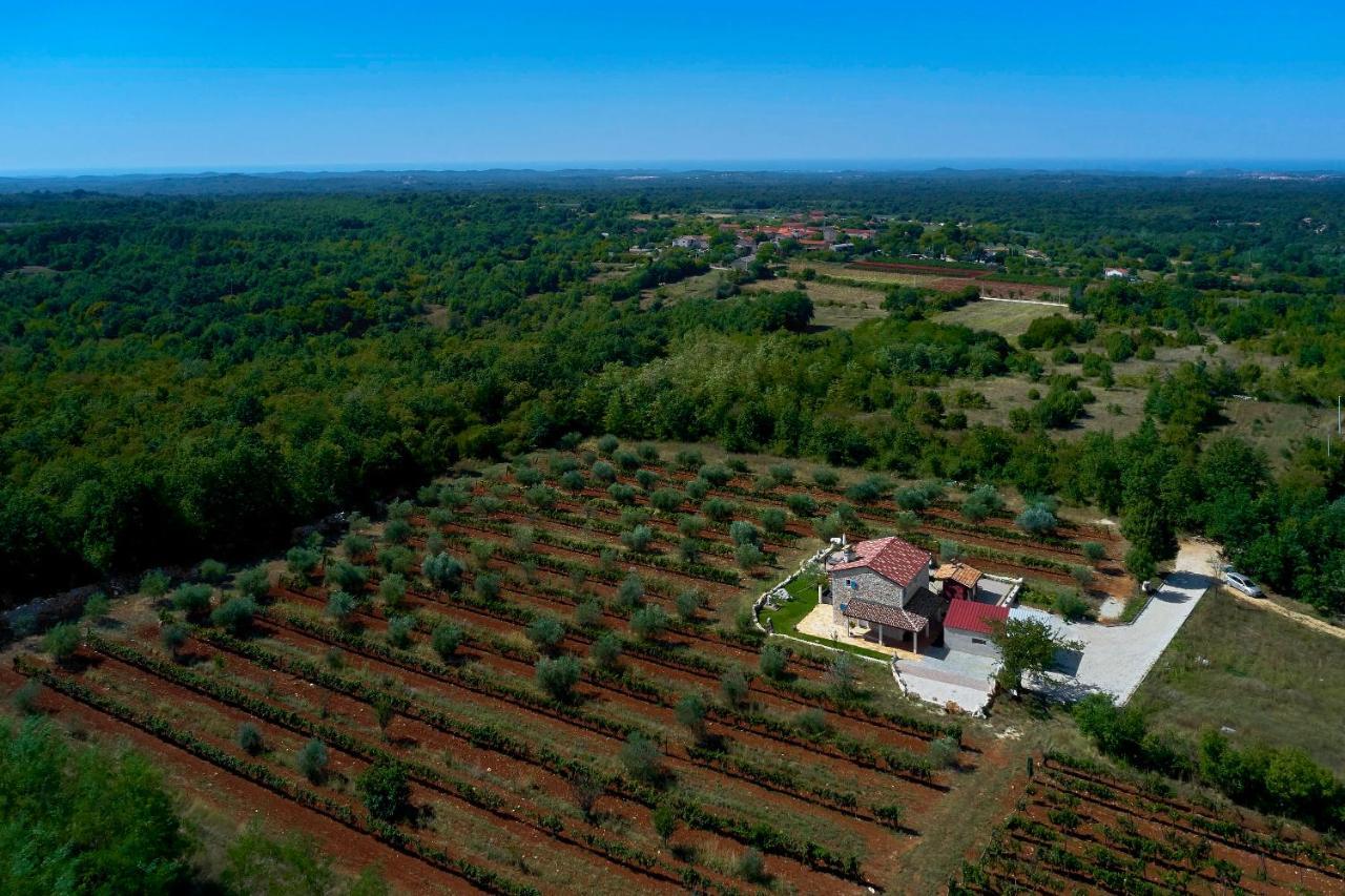 Relax House Surrounded By Olives And Vineyard *