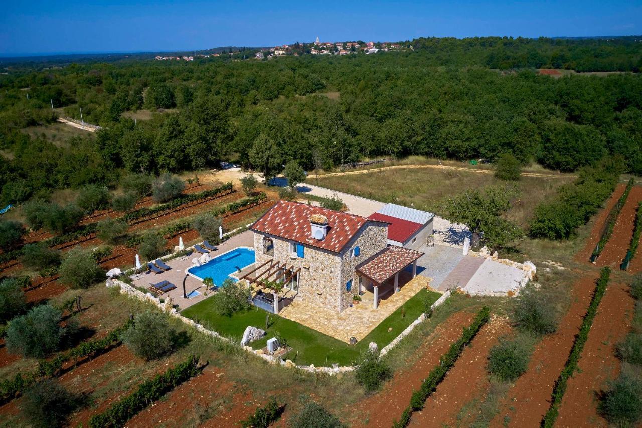 Relax House Surrounded By Olives And Vineyard Villa