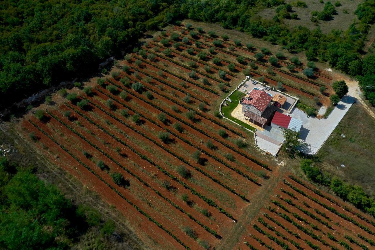 Relax House Surrounded By Olives And Vineyard