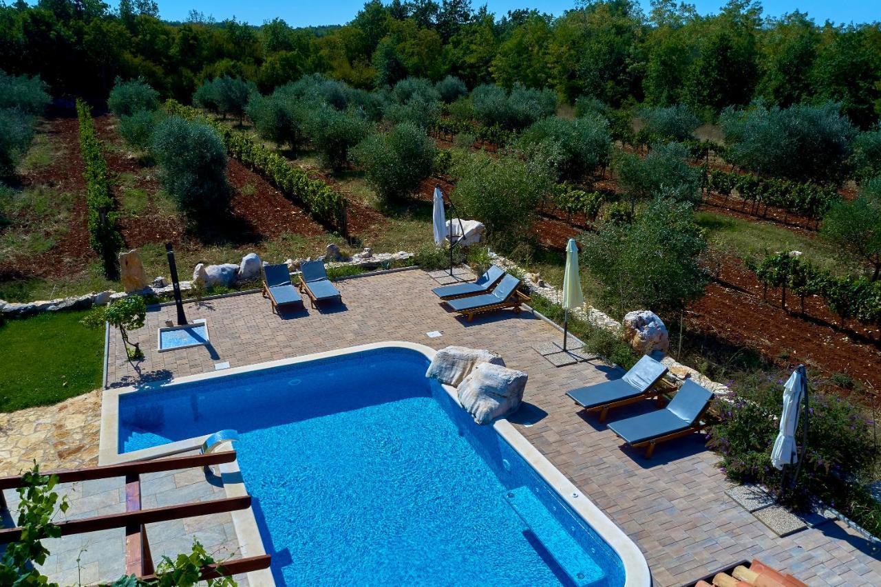 Relax House Surrounded By Olives And Vineyard Villa